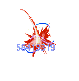 118249.gif