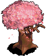 118514.gif