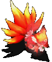 118548.gif