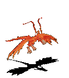 118809.gif