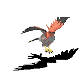 119159.gif