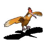 118826.gif