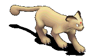 118856.gif