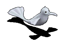 118889.gif