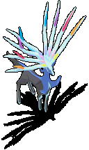 118964.gif
